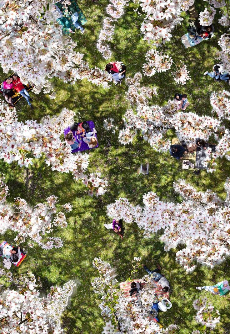 Human Nature in Galerie LUMC 